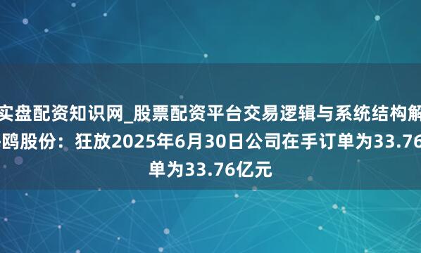 实盘配资知识网_股票配资平台交易逻辑与系统结构解析 海鸥股份：狂放2025年6月30日公司在手订单为33.76亿元