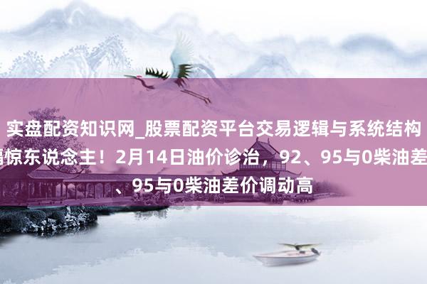 实盘配资知识网_股票配资平台交易逻辑与系统结构解析 涨幅惊东说念主！2月14日油价诊治，92、95与0柴油差价调动高