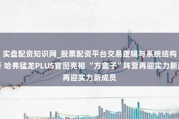 实盘配资知识网_股票配资平台交易逻辑与系统结构解析 哈弗猛龙PLUS官图亮相 “方盒子”阵营再迎实力新成员