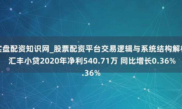 实盘配资知识网_股票配资平台交易逻辑与系统结构解析 汇丰小贷2020年净利540.71万 同比增长0.36%