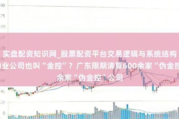 实盘配资知识网_股票配资平台交易逻辑与系统结构解析 物业公司也叫“金控”？广东限期清算600余家“伪金控”公司