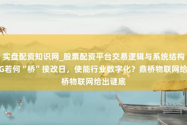 实盘配资知识网_股票配资平台交易逻辑与系统结构解析 5G若何“桥”接改日,使能行业数字化?鼎桥物联网给出谜底
