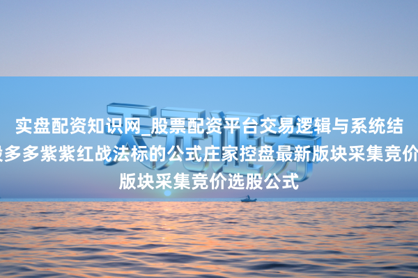 实盘配资知识网_股票配资平台交易逻辑与系统结构解析 股多多紫紫红战法标的公式庄家控盘最新版块采集竞价选股公式