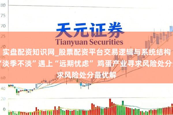 实盘配资知识网_股票配资平台交易逻辑与系统结构解析 “淡季不淡”遇上“远期忧虑” 鸡蛋产业寻求风险处分最优解