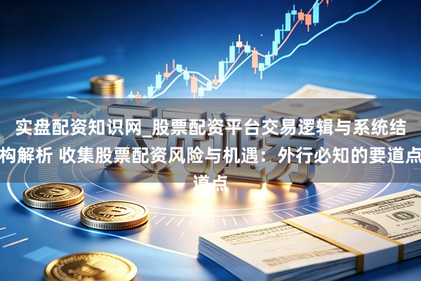 实盘配资知识网_股票配资平台交易逻辑与系统结构解析 收集股票配资风险与机遇：外行必知的要道点