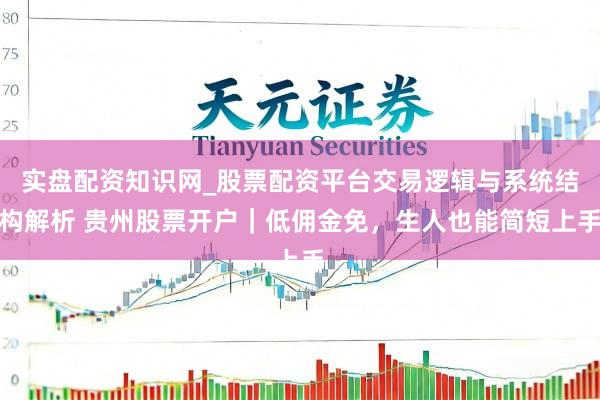 实盘配资知识网_股票配资平台交易逻辑与系统结构解析 贵州股票开户｜低佣金免，生人也能简短上手